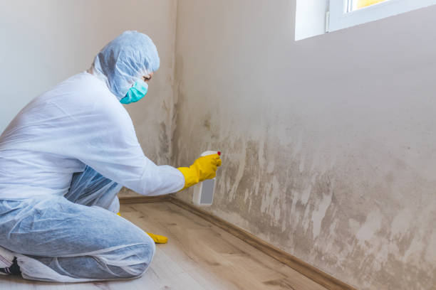 Mold Remediation specialist working in Newton Lower Falls
